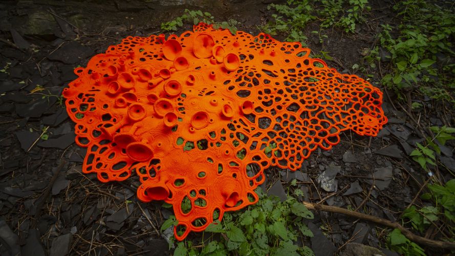 La Salle Alfred-Pellan accueille les expositions «&nbsp;Trames composites&nbsp;» et&nbsp;»Les arbres de Pénélope&nbsp;»