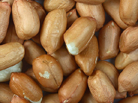 Manger des peanuts, bon pour les allergies !