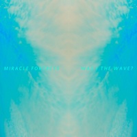 Miracle Fortress  /  Was I The Wave ?  /  Secret City Records 