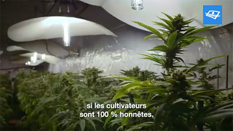 Télé-Québec propose une programmation spéciale portant sur la légalisation des drogues et ses impacts