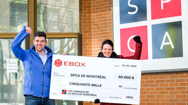 EBOX remet 50 000 $ à la SPCA de Montréal