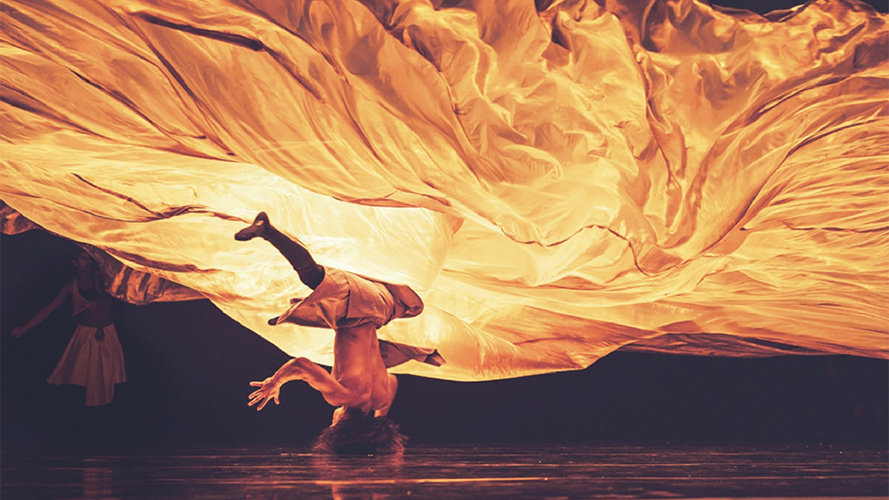 Danse Danse dévoile sa 28e saison