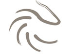 Tattoo Communication