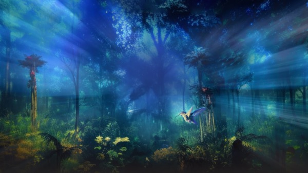 OASIS immersion prépare l’exposition immersive « Nature vive »