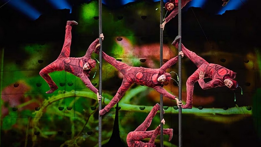 Le Cirque du Soleil propose 15 représentations d’« OVO » au Centre Bell en décembre 2024