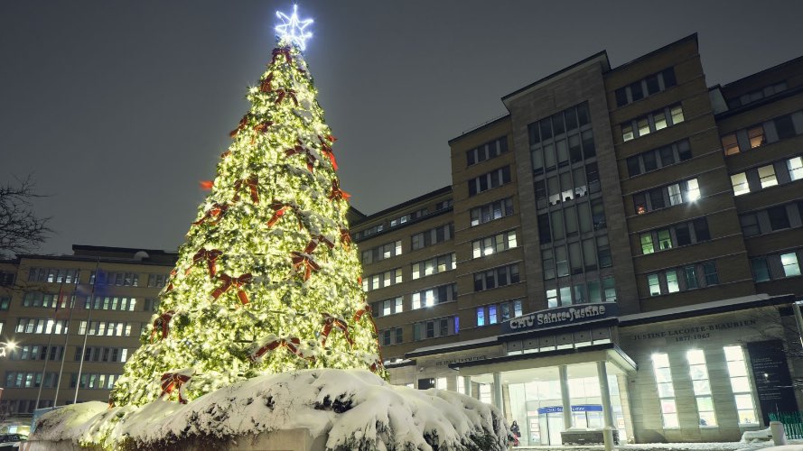 Le Québec a allumé 649 237 lumières dans le Grand sapin de Sainte-Justine