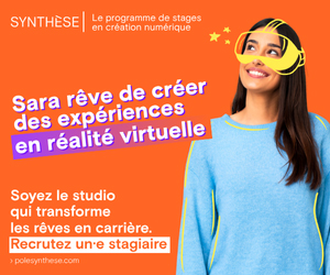 SYNTHÈSE (Stage - Sara) 300x250